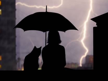 Une femme avec un parapluie et son chat assis sur le toit regardent tomber l'orage