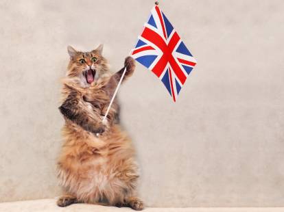 Un chat debout sur ses pattes arrière tenant dans ses pattes avant le drapeau du Royaume-Uni.