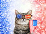 Un chat portant des lunettes de soleil et tenant un drapeau des Etats Unis, sur un fond bleu rouge et blanc.