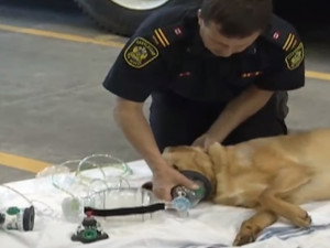 Tbsjsxpyxzodam Tbsjsxpyxzodam