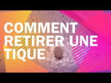Comment retirer une tique à votre chat