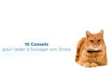 10 conseils de base pour élever votre chat dans un environnement sans stress