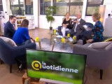 Chat en surpoids, que faire ?
