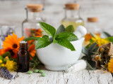 Des fleurs et plantes utilisées en naturopathie