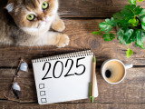 Un chat à côté d'un carnet sur lequel est écrit 2025