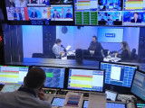 Un cas de chat contaminé par la grippe aviaire en France