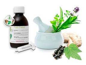 Recette de vinaigrette anti-puces pour chien ou chat