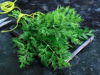 Un bouquet d'aneth bio sur une table