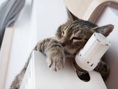 Un chat se réchauffe sur un radiateur