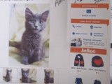 Les vols et trafics d'animaux en France