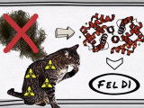 Comment vivre avec un chat quand on y est allergique ?