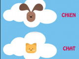 L'application Filalapat, utile en cas de chien ou chat perdu