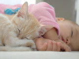 Un chaton dort avec un bébé
