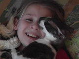 Un Cornish Rex s’est endormi dans une position insolite