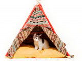 Un tipi pour chat en cadeau pour quelqu'un qui aime les chats