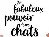 « Le fabuleux pouvoir de nos chats » (Isabelle Collin, 2020)