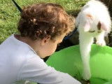 La relation entre les enfants et les chats