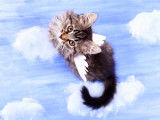 Un chat avec des ailes d'ange assis sur des nuages