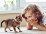 Une enfant allongée par terre regardant un chaton