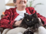 Les seniors et leur animal de compagnie
