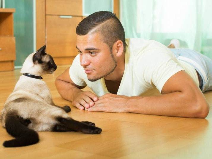 Passer Du Temps Avec Son Chat Vivre Avec Un Chat Adulte 8 Regles D Or