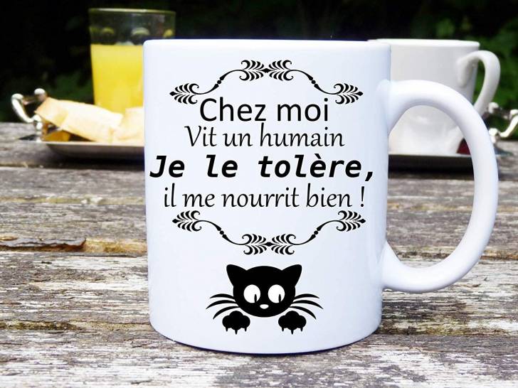 Un mug chat en cadeau pour quelqu'un qui aime les chats