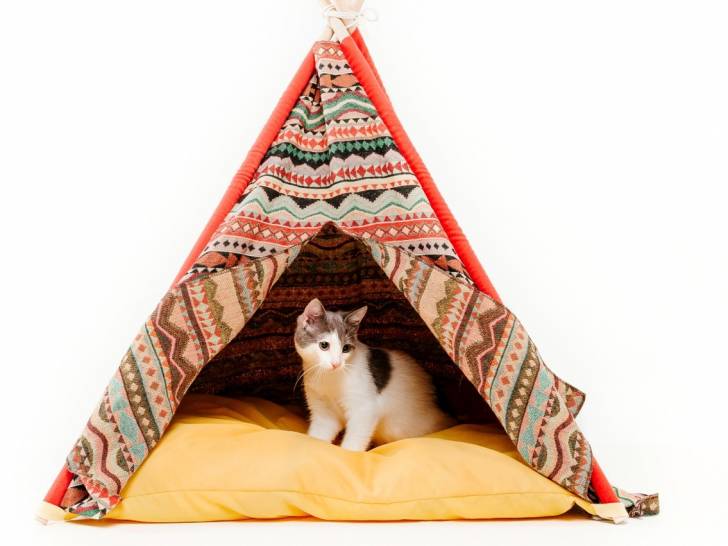 Un tipi pour chat en cadeau pour quelqu'un qui aime les chats