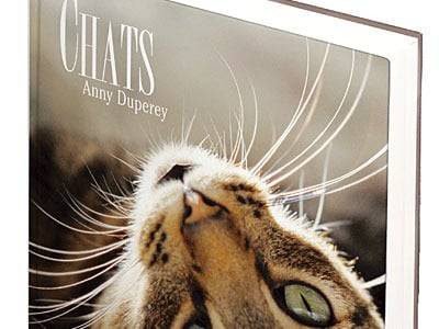 « Chats » (Anny Duperey, 2008)
