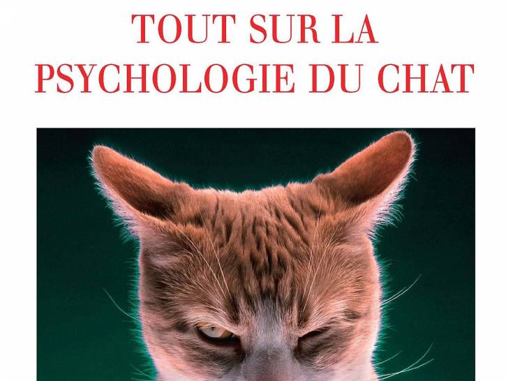 « Tout sur la psychologie du chat » (Joël Dehasse, 2005)