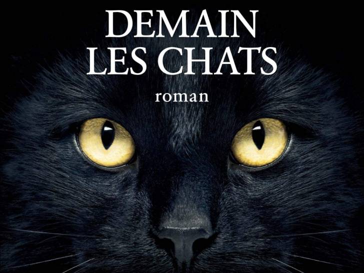 « Demain les chats » (Bernard Werber, 2016)