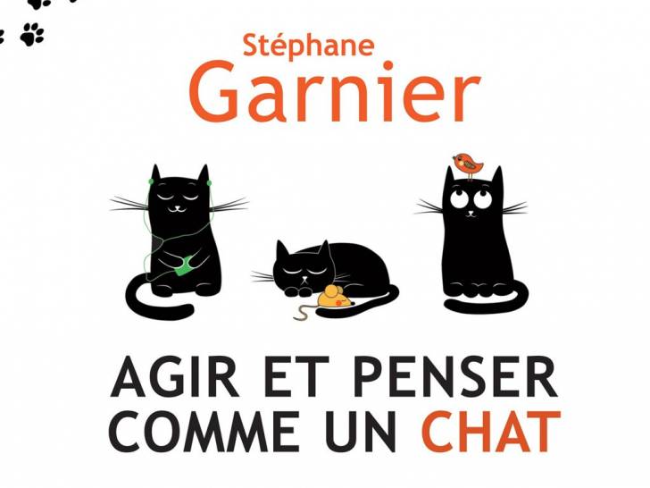 «  Agir et penser comme un chat » (Stéphane Garnier, 2017)