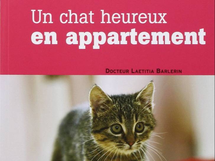 « Un chat heureux en appartement » (Laetitia Barlerin, 2007)