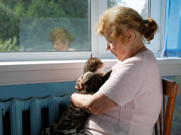 Comment s occuper et prendre soin d un chat âgé