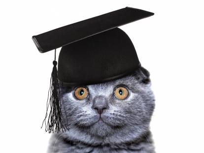 Certificat de Capacité