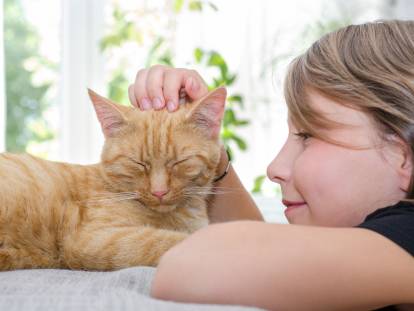 Adopter un chat quand il y a un enfant à la maison