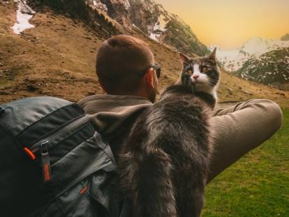 Un chat perché sur l'épaule d'un randonneur en montagne