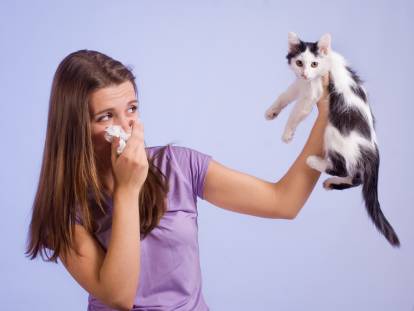 Une maitresse allergique à son chat