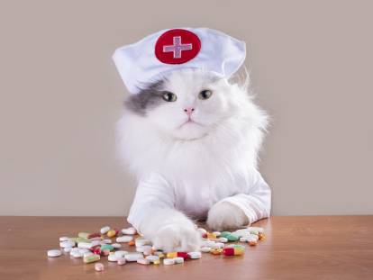 Un chat déguisé en vétérinaire avec des médicaments