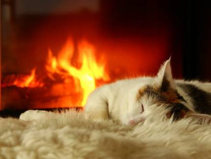 Un chat profondément endormi sur un tapis devant un feu de cheminée