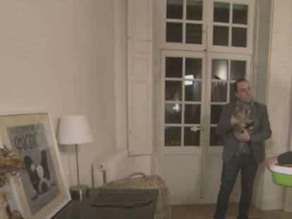 Faire cohabiter chiens et chats
