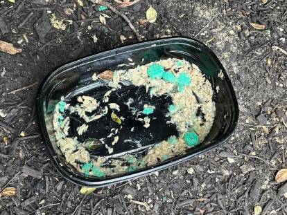 Une gamelle de nourriture empoisonnée placée en extérieur