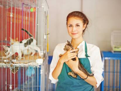 Vente de Chats et Chiens en Animalerie