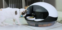 Un distributeur de croquettes et d'eau pour chat