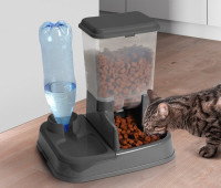 Un chat tigré se nourrit dans son distributeur de croquettes