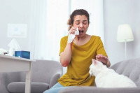 Une maitresse allergique à son chat blanc