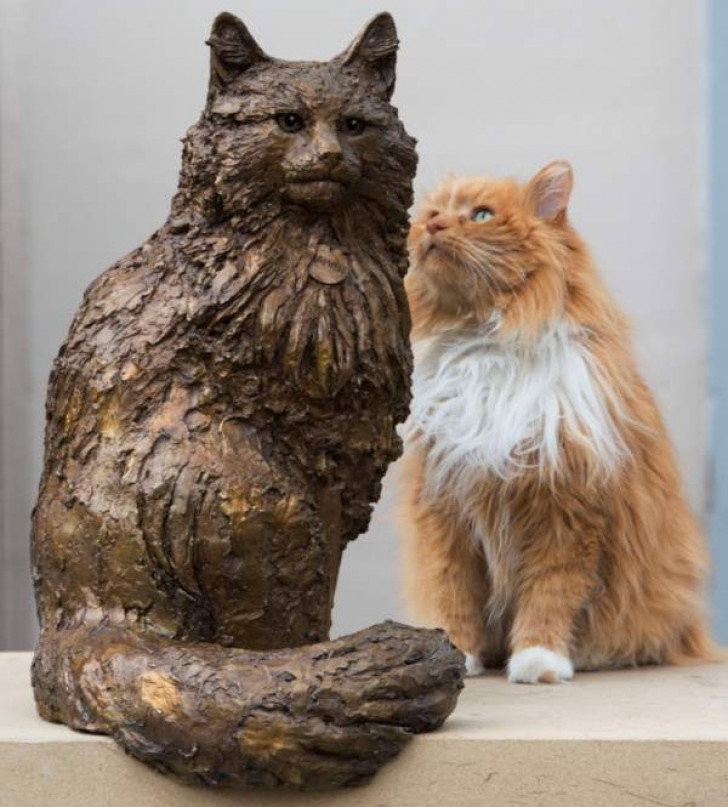 La statue du chat Hamish McHamish, mascotte de St Andrews (Écosse)
