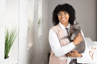Une femme porte son chat Bleu Russe dans ses bras