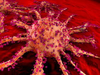 Les cancers grandissent vite et se métastasent