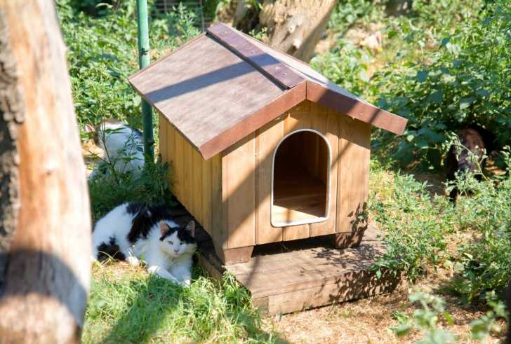 Les Niches Cabanes Maisonnettes Et Domes Pour Chats