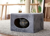 Un chat caché dans son arbre à chat